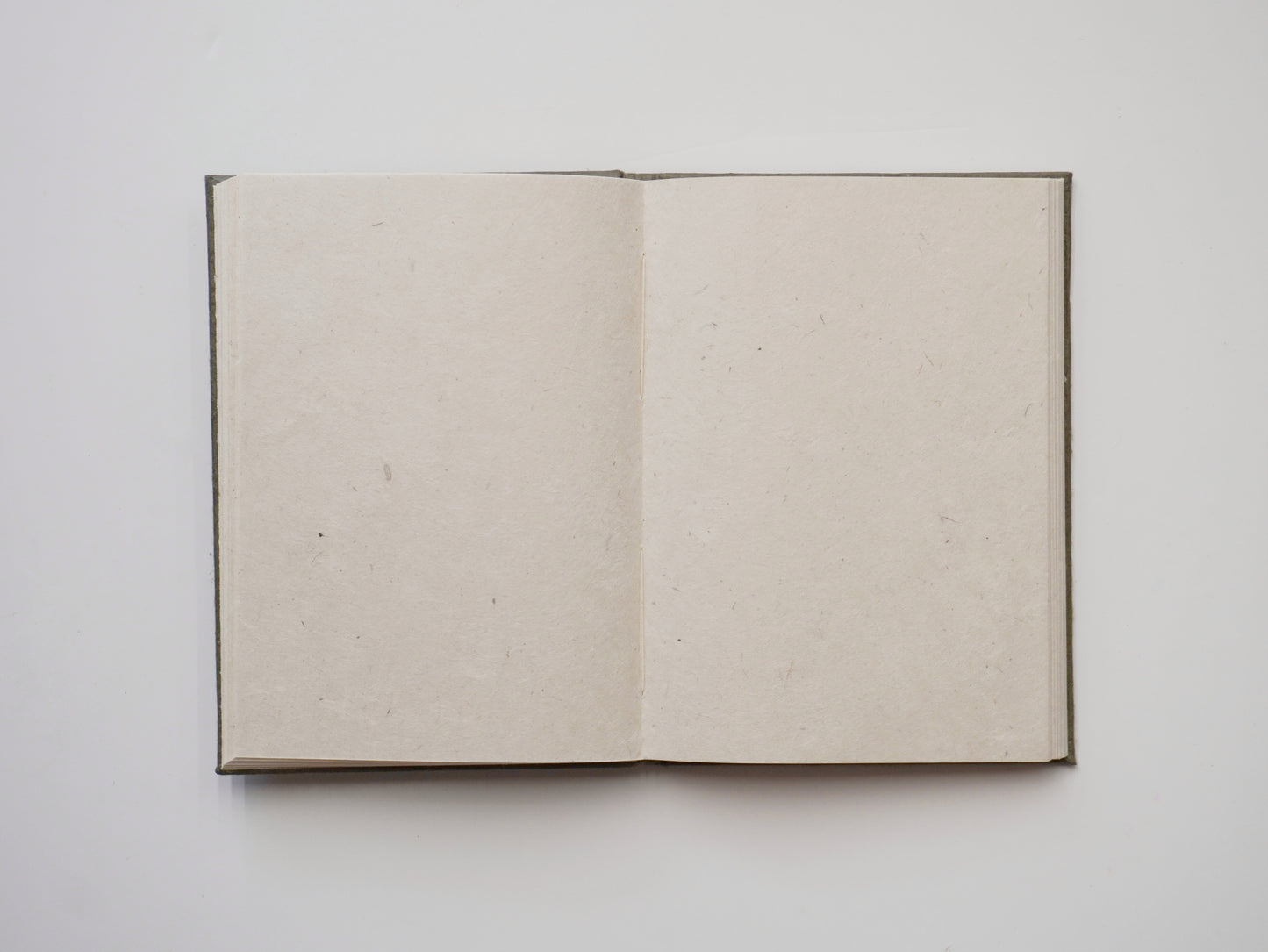 SECONDS - Shabda - Life in Progress