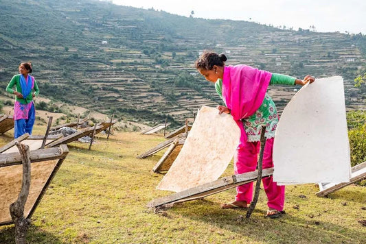 What makes Lokta paper uniquely durable and eco-friendly?