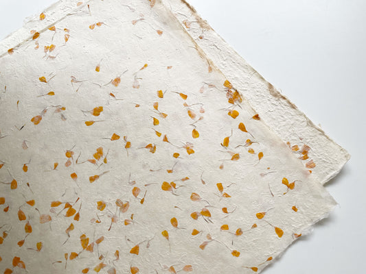 SECONDS — Gift wrapping paper (2 sheets) | Marigold Petals