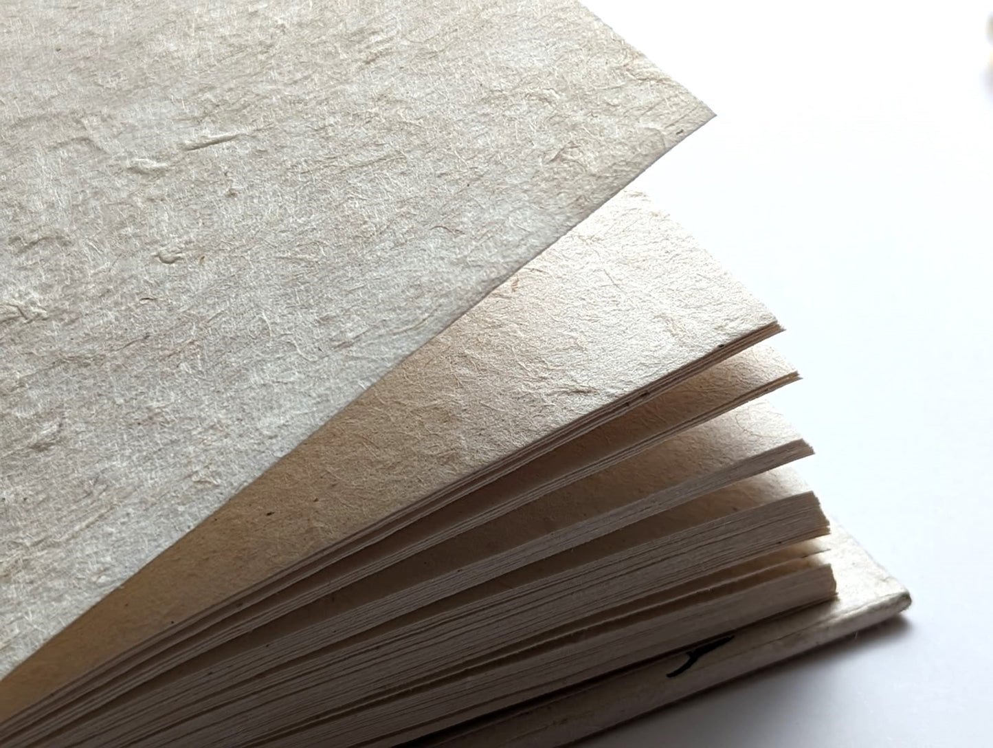 Handmade Paper Journal | Ratna in Black - Stalks in Vase