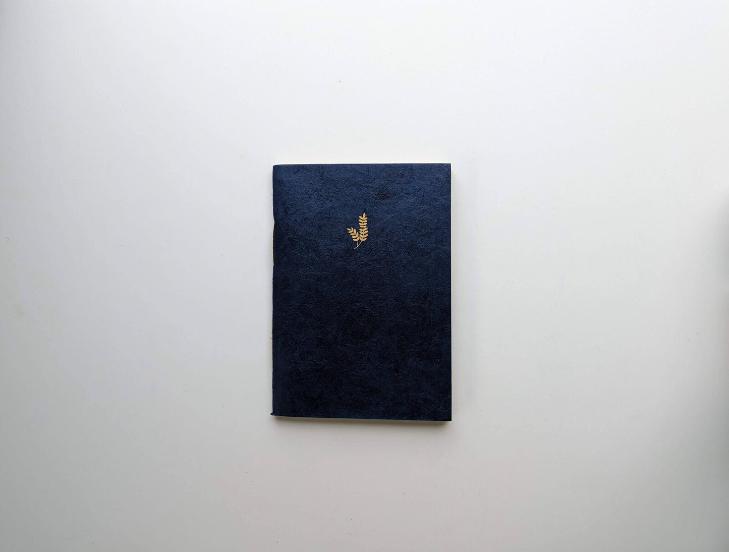 Handmade paper notebooks (4 books) | Nagarjun